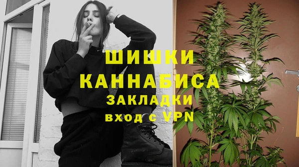 ПСИЛОЦИБИНОВЫЕ ГРИБЫ Аркадак