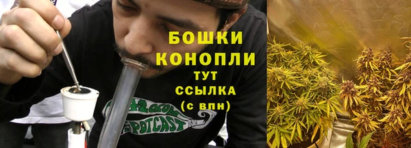 ПСИЛОЦИБИНОВЫЕ ГРИБЫ Аркадак