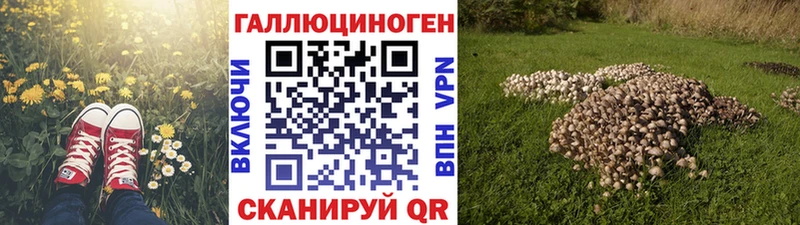 Псилоцибиновые грибы Psilocybine cubensis  Купить закладки  Нижняя Салда 